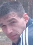 Андрей, 47 лет, Брянск
