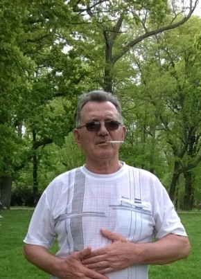 Сергей сергеев, 67, Россия, Яблоновский