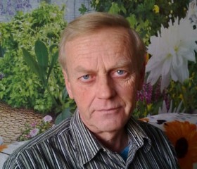 игорь, 68 лет, Приморский