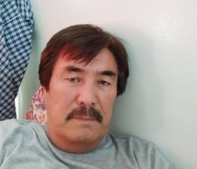 Kadyrkul Kozubek, 55 лет, Алматы