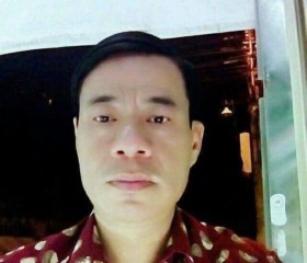 Nguyễn Văn Chiến, 54 года, Hà Nội