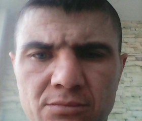 Руслан Толчин, 39 лет, Новосибирск