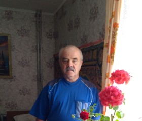 Анатолий Шалаев, 68 лет, Челябинск