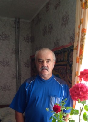 Анатолий Шалаев, 68, Россия, Чусовой