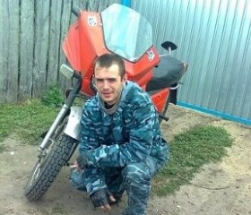 Сергей, 39 лет, Шумиха