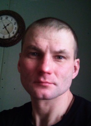 Aleksey, 37, Russia, Cherdakly