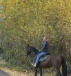 Каталея
