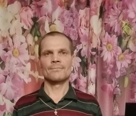 Николай Черепано, 43 года, Шадринск