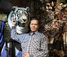 Igor, 65, Troitsk (MO)