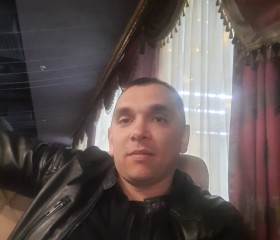 Владимир, 36 лет, Курск
