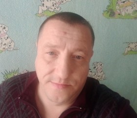 Алексей, 44 года, Киселевск