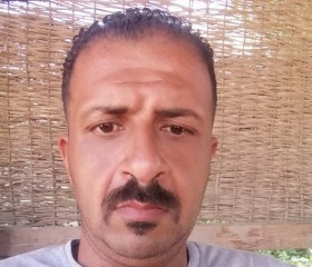 احمد, 37 лет, طنطا
