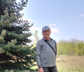 Dima, 59, Volzhskiy (Volgograd)