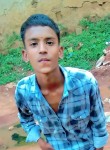 Harsh, 18 лет, Raipur (Chhattisgarh)