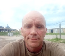 Николай, 40 лет, Луга