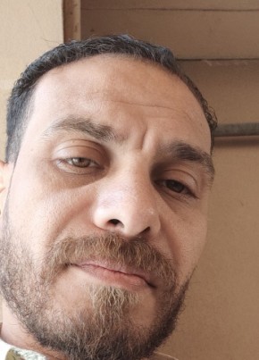 Wael, 43, جمهورية مصر العربية, القاهرة