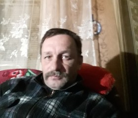 Владимир, 52 года, Кашира