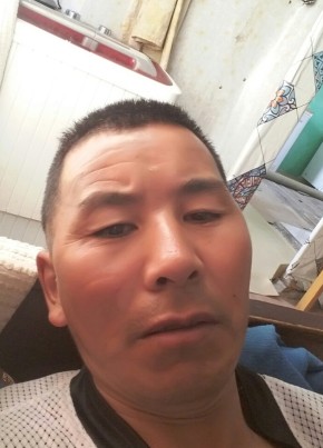 hareeu, 43, Монгол улс, Улаанбаатар