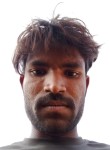 Meghraj Banshal, 25 лет, Damoh