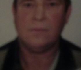 Анатолий, 63 года, Ирбит