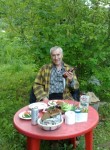 Сергей, 67 лет, Гатчина