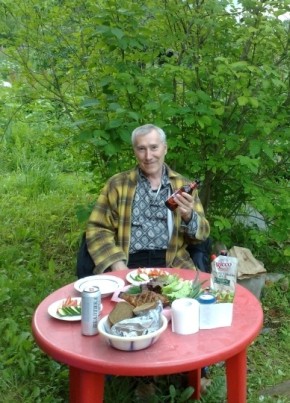 Сергей, 67, Россия, Гатчина