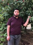 محمد, 19  , Hebron