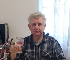 Алексей, 70 лет, Краснодар