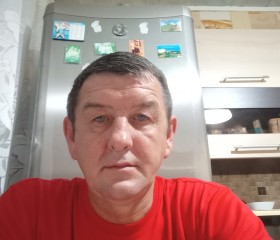 Владимир, 45 лет, Талица