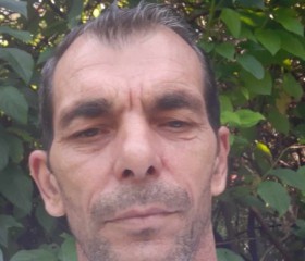 Stefan, 49 лет, Wien