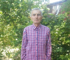 Валерий, 73 года, Шымкент