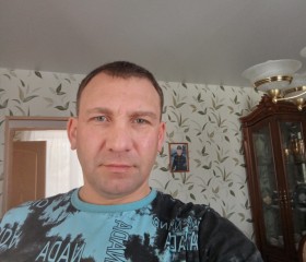 Anton, 42 года, Тула