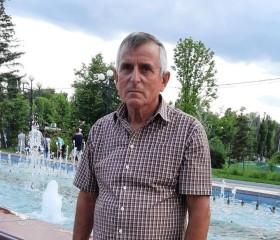 Анатолий, 59 лет, Белгород