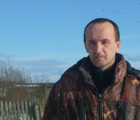 Леонид, 49 лет, Шахунья