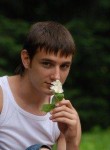 Виктор, 37 лет, Киров