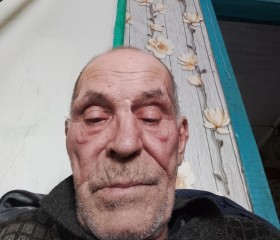 Gera, 62, Biysk