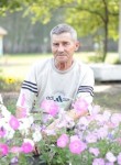 Александр, 74 года, Омск
