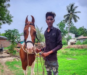 Sanjay, 19 лет, Bhiwandi