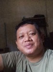 Arman, 40 лет, Kualatungkal