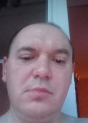 Дмитрий, 40, Россия, Алексин