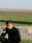 Mehmet, 21 год, Suruç