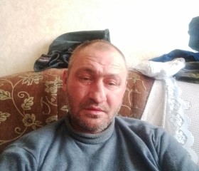 Дима Шеховской, 45 лет, Белгород