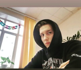 Димон, 20 лет, Брянск