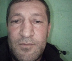 Боря, 47 лет, Саратов