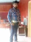 Michoacano, 35 лет, Zamora de Hidalgo