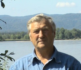 Голубцов Алексей, 71 год, Барнаул