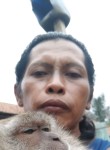 Lendot, 46 лет, Kota Bandar Lampung