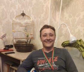 Альберт, 38 лет, Казань