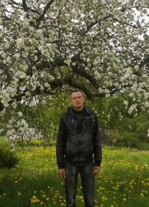 Алексей, 39, Рэспубліка Беларусь, Віцебск