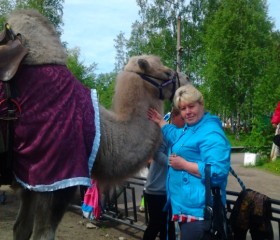 Мария, 65 лет, Архангельск